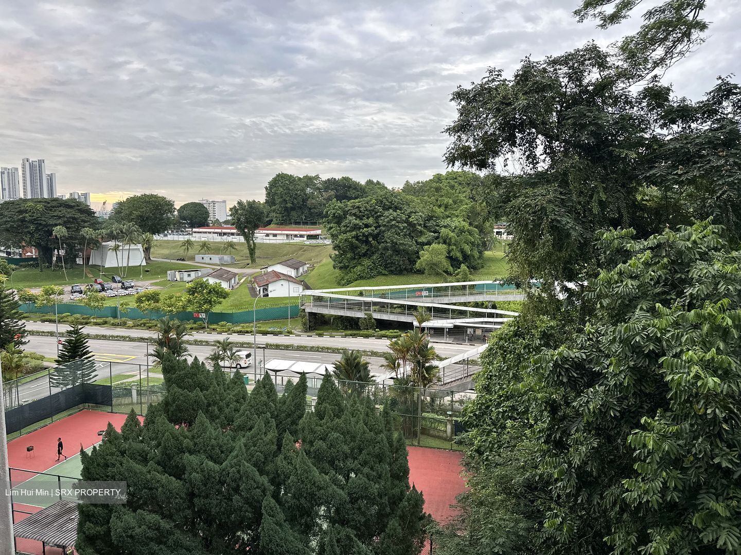 Pine Grove (D21), Condominium #497536701